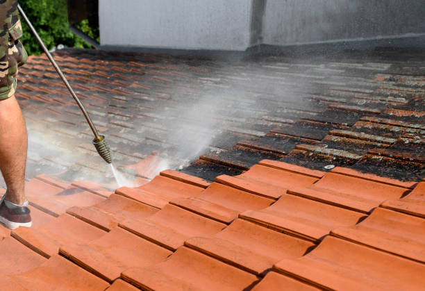 Best Affordable Power Washing  in Monahans, TX