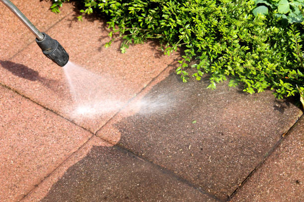 Best Roof Pressure Washing  in Monahans, TX